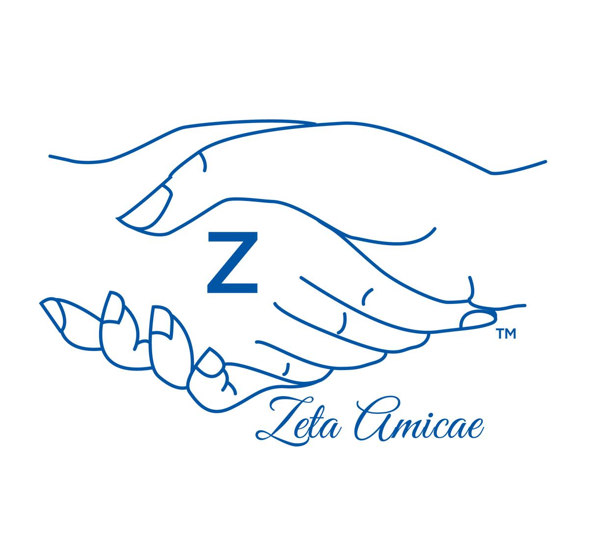 Zeta Amicae Line Jacket, Sky Blue Personalized Jacket, Amicae Auxiliary Custom Jacket, Embroidered Greek Line Jacket - product image 3