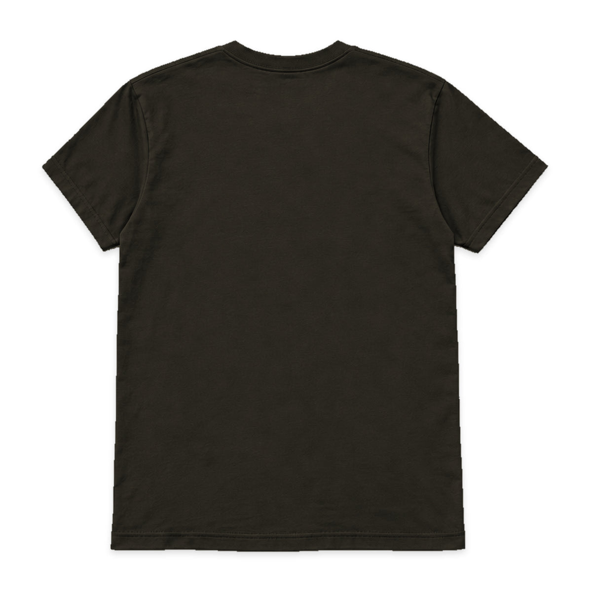 Digital back-view mockup of the charcoal brown Iota Phi Theta T-shirt; standard As Shown back is undecorated