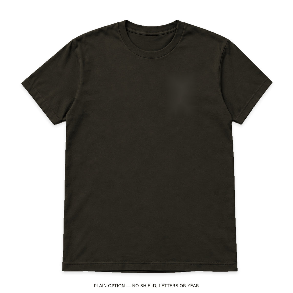 Plain option digital mockup: charcoal brown T-shirt with no shield, Greek letters, year or print; undecorated garment only